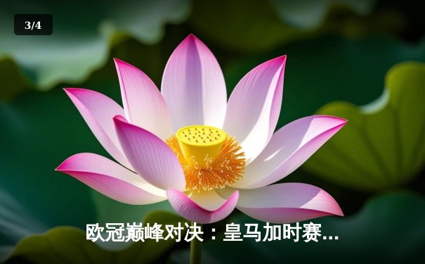 欧冠巅峰对决：皇马加时赛3-2绝杀拜仁，本泽马戴帽创历史 - 3